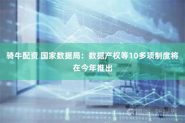 骑牛配资 国家数据局：数据产权等10多项制度将在今年推出