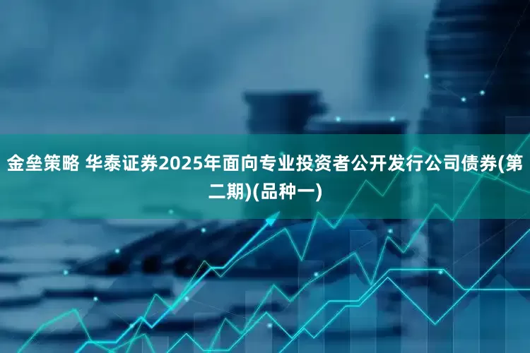 金垒策略 华泰证券2025年面向专业投资者公开发行公司债券(第二期)(品种一)
