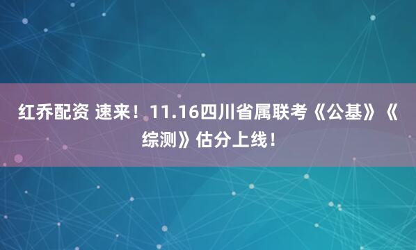 红乔配资 速来！11.16四川省属联考《公基》《综测》估分上线！