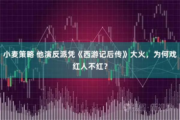 小麦策略 他演反派凭《西游记后传》大火，为何戏红人不红？